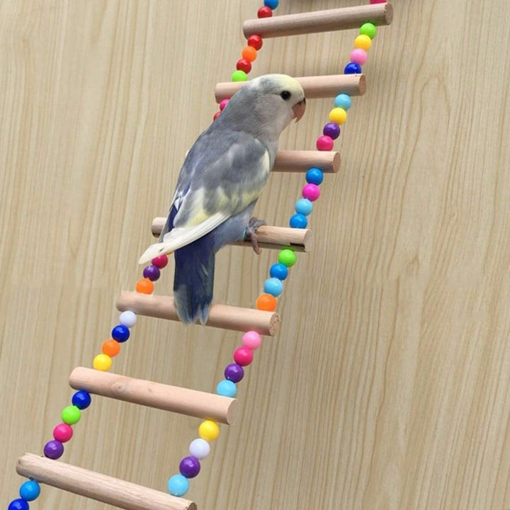 Bird's Wooden Rainbow Ladder - Trendha