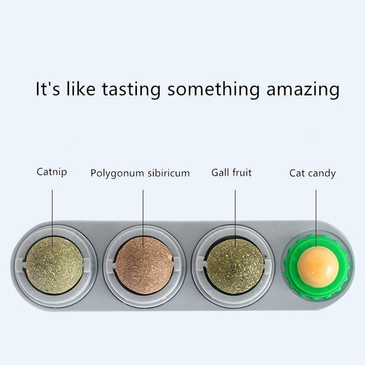Natural Catnip Kit - Trendha