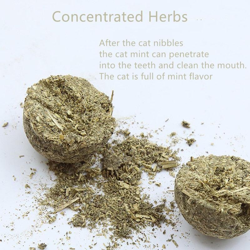 Natural Catnip Kit - Trendha