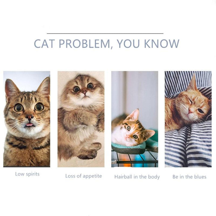 Natural Catnip Kit - Trendha