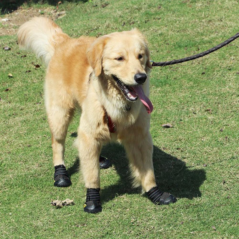 Non Slip Anti Skid Shoes for Dogs - Trendha