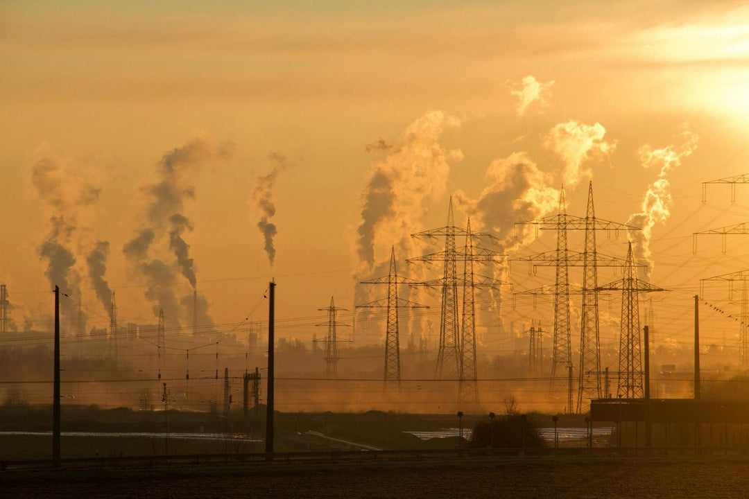 Climate Change: Patterns, Predictions, and What the Future Holds