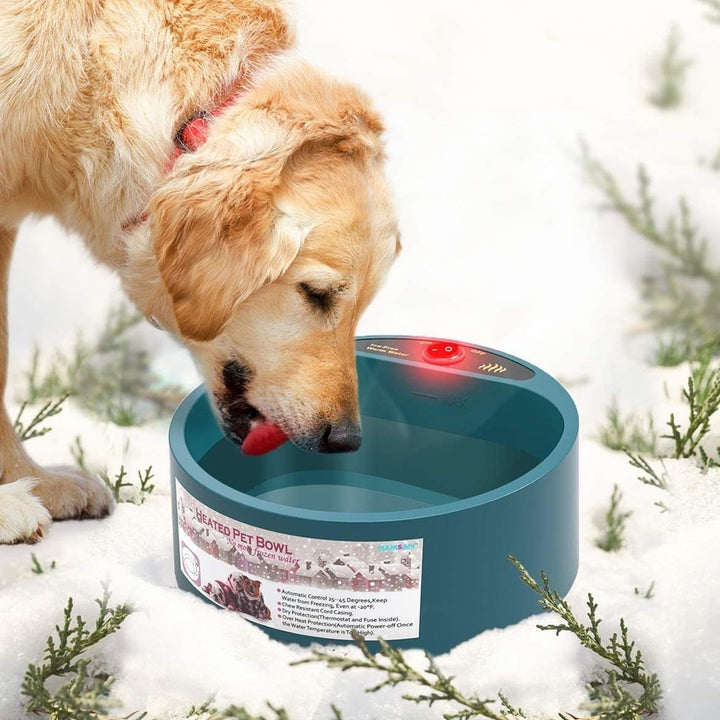 Heated Pet Water Bowl