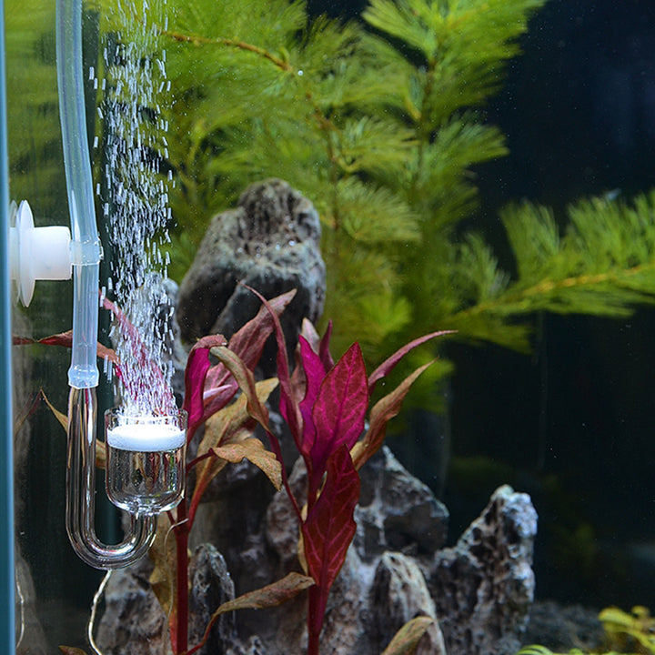 CO2 Diffuser System for Aquariums