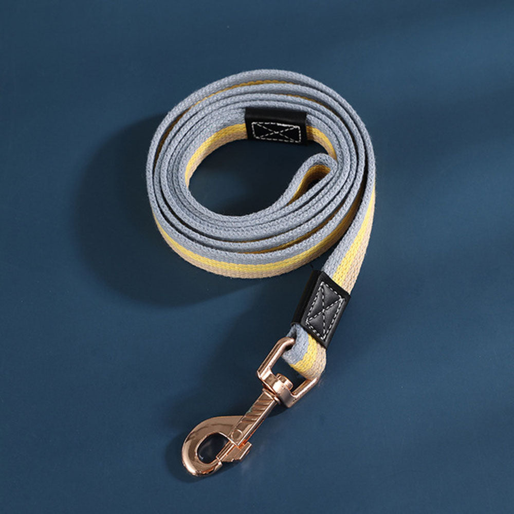 Strong Durable Nylon Dog Leash