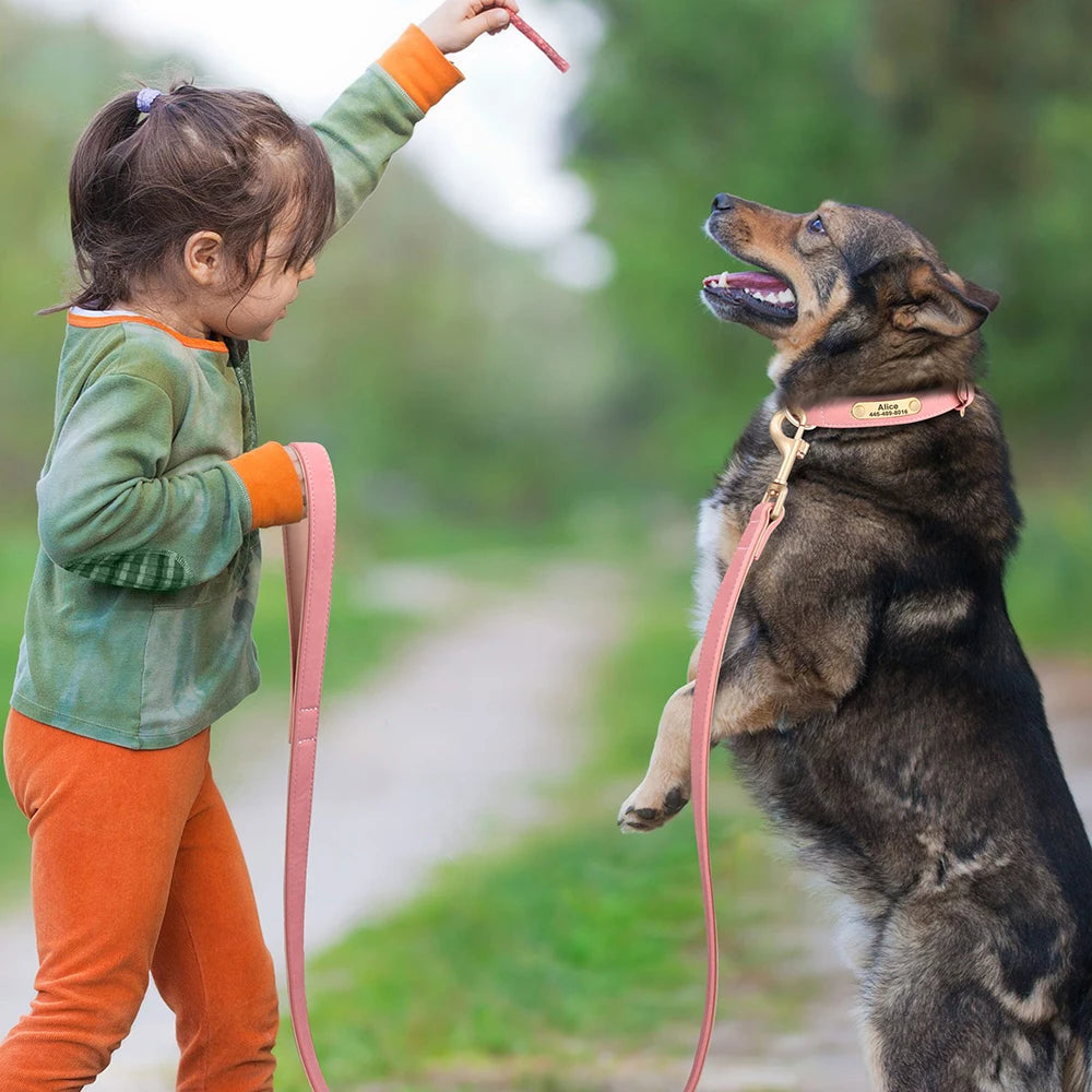 Soft Padded Leather Dog Leash - 120cm for Training and Walking