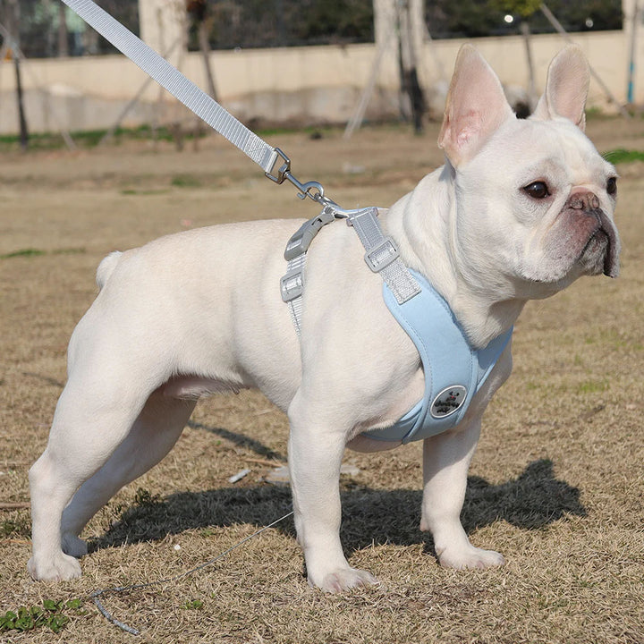 Adjustable No-Pull Dog Harness with Leash Set