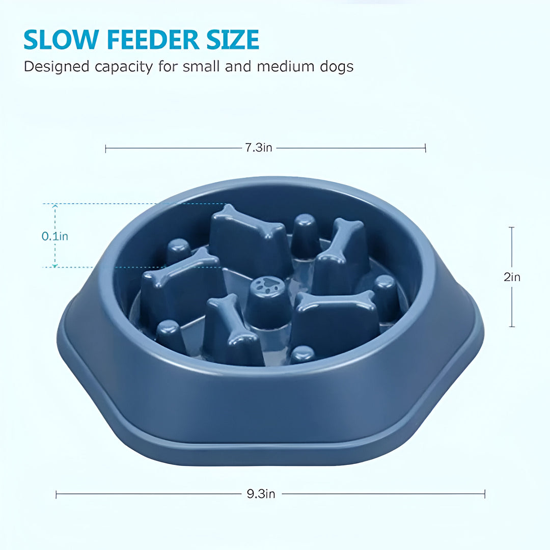 Slow Feeder Dog Bowl for Healthy Eating