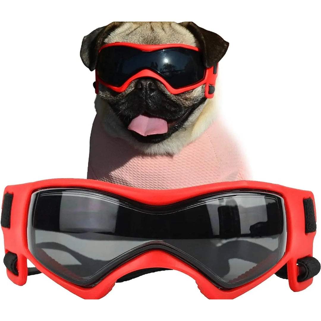 Small Dog Sunglasses