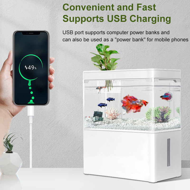 Compact Aquascape USB Fish Tank with Adjustable LED Lighting & Automatic Filtration