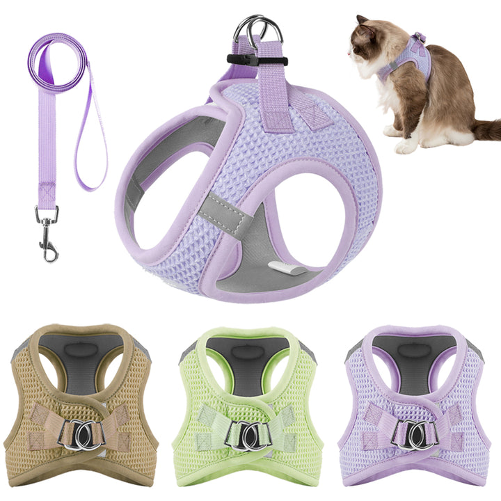 Reflective Mesh Cat & Small Dog Harness Leash Set