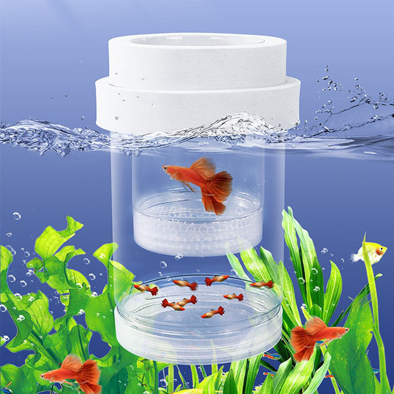 Suspension Aquarium Breeding Box