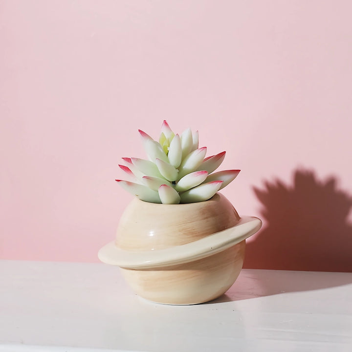 Mini Planet Shape Ceramic Succulent Flower Pot