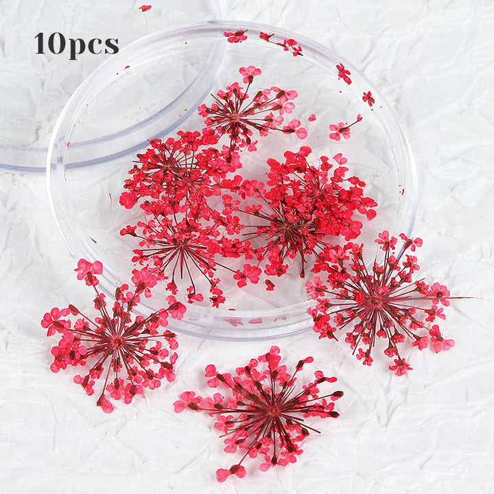 3D Dried Flower Nail Art Decorations Set