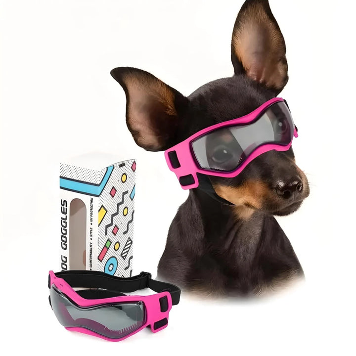 Small Dog Sunglasses