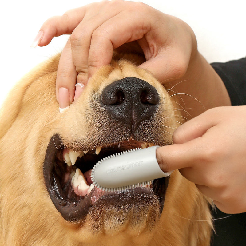 Pet Finger Toothbrush for Effective Teeth Cleaning