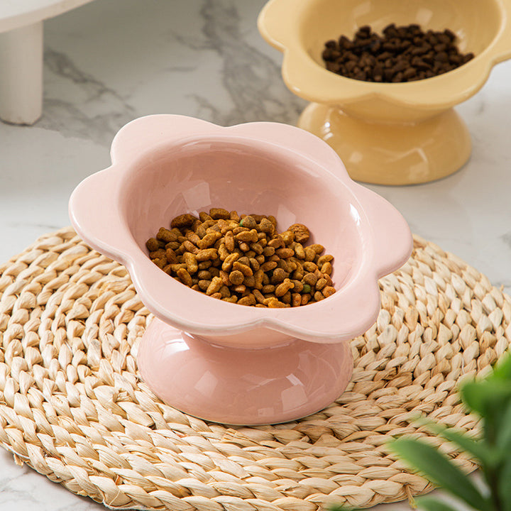 Elevated Ceramic Cat Water and Food Bowl