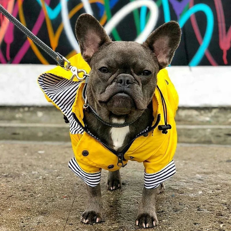 Waterproof Raincoat for Medium and Large Dogs