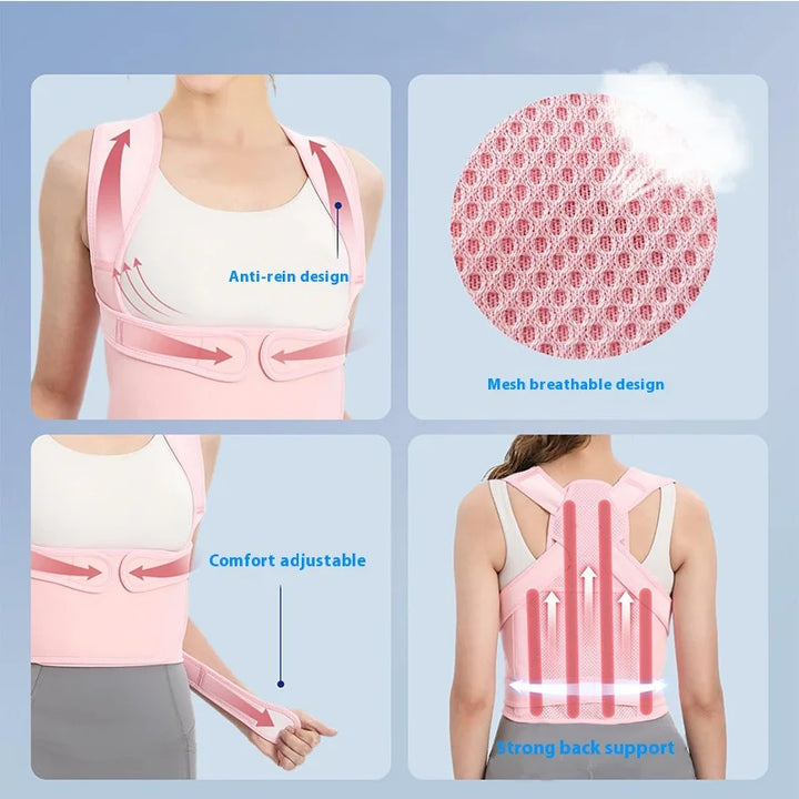 Posture Corrector & Lumbar Support Brace