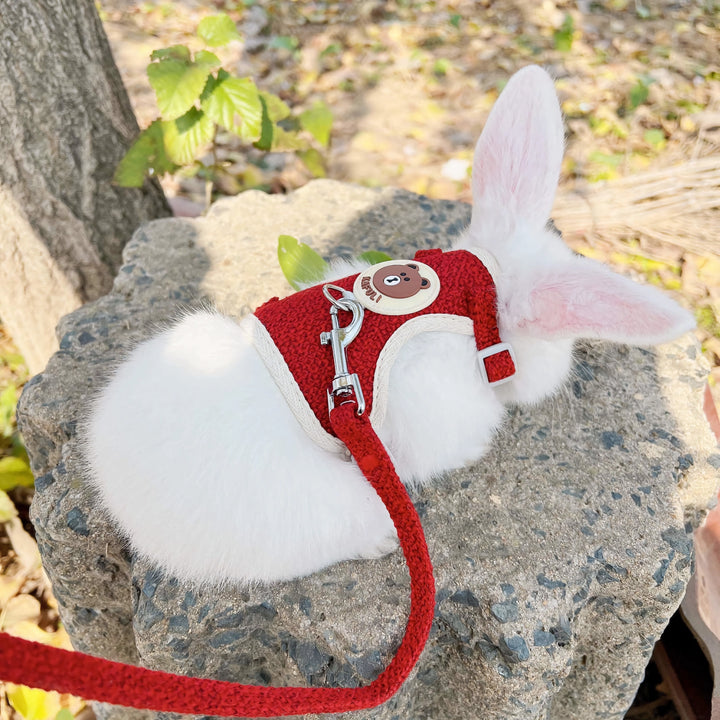 Outdoor Rabbit & Guinea Pig Harness and Leash Set - Linen Pet Vest for Small Animals