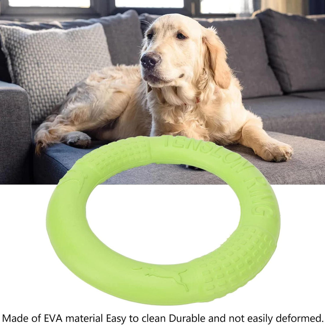 Interactive Dog Chew Toy