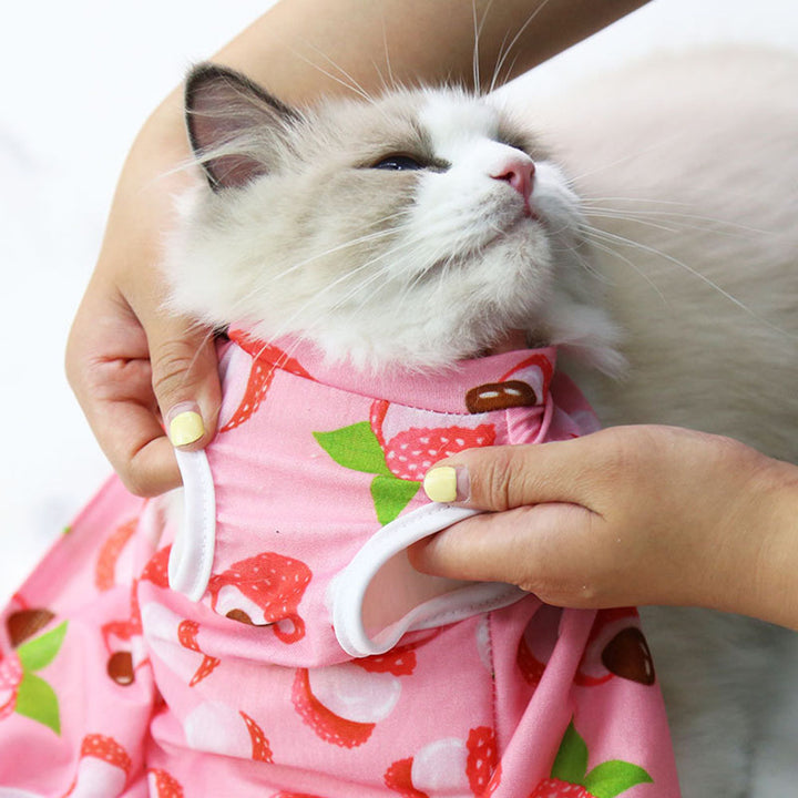 Anti-Licking Pet Surgery Suit