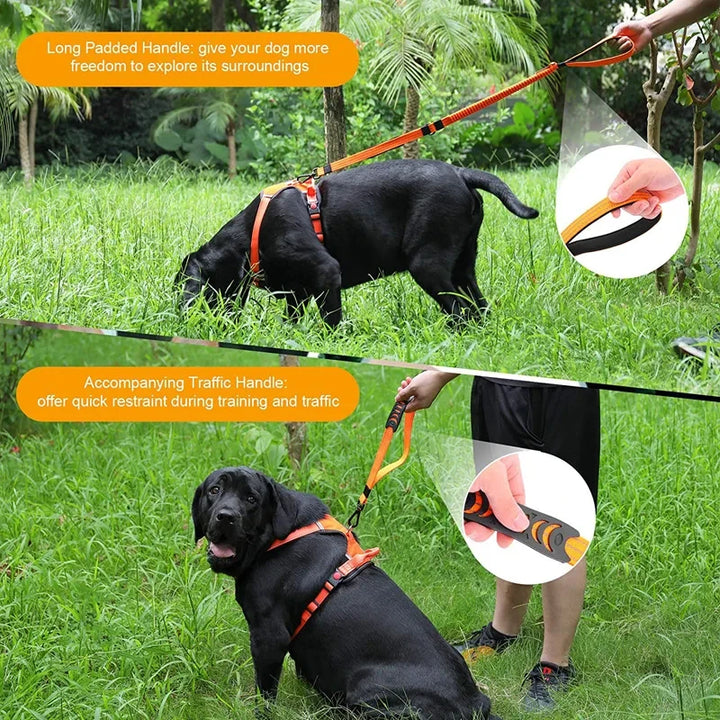 Multifunction Reflective Nylon Dog Leash & Seat Belt