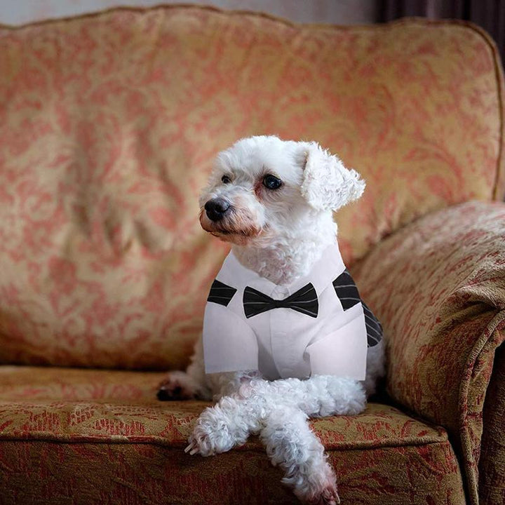 Stylish Dog Tuxedo with Bow-Tie