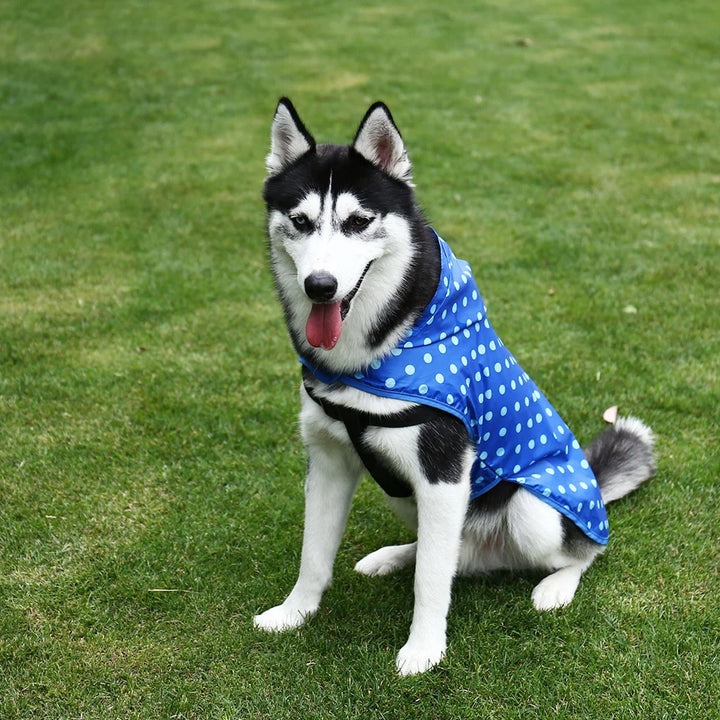 Portable Waterproof Dog and Cat Raincoat