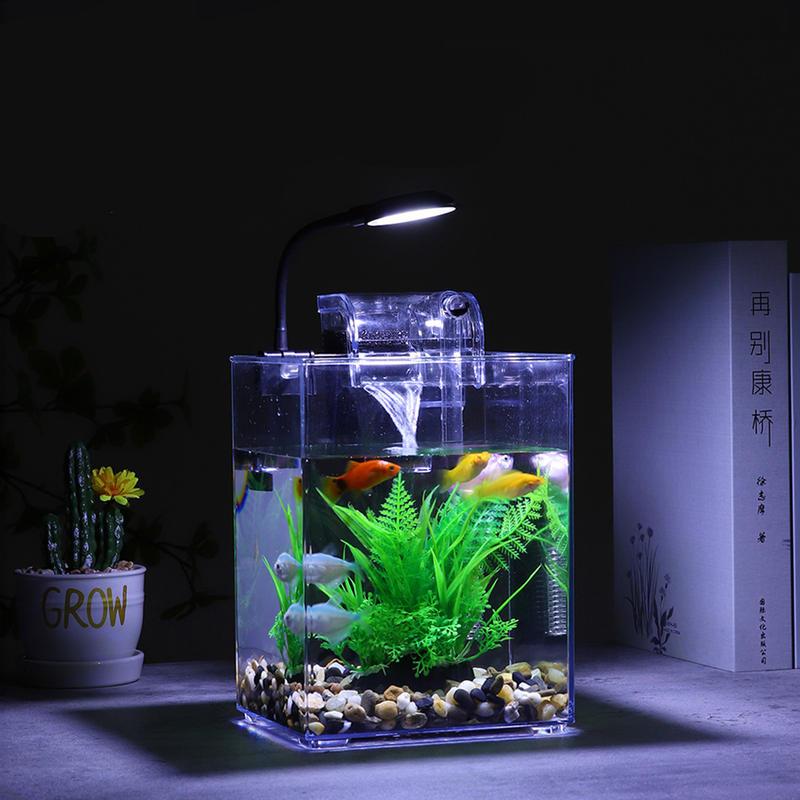 USB-Powered Desktop Fish Tank with LED Lights