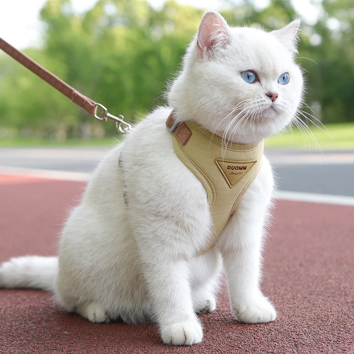 Soft Mesh Cat and Dog Vest Harness with Leash Set