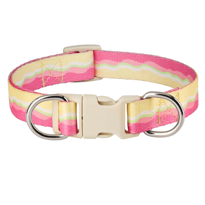 Adjustable Nylon Dog Collar