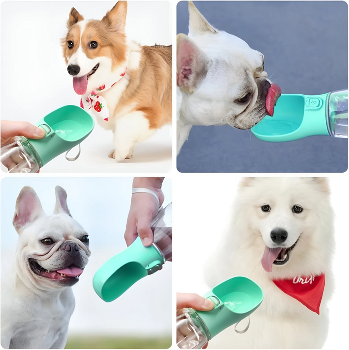 Portable Dog Water Bottle with Travel Bowl