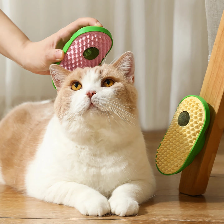 Funny Cat Grooming Brush with Catnip