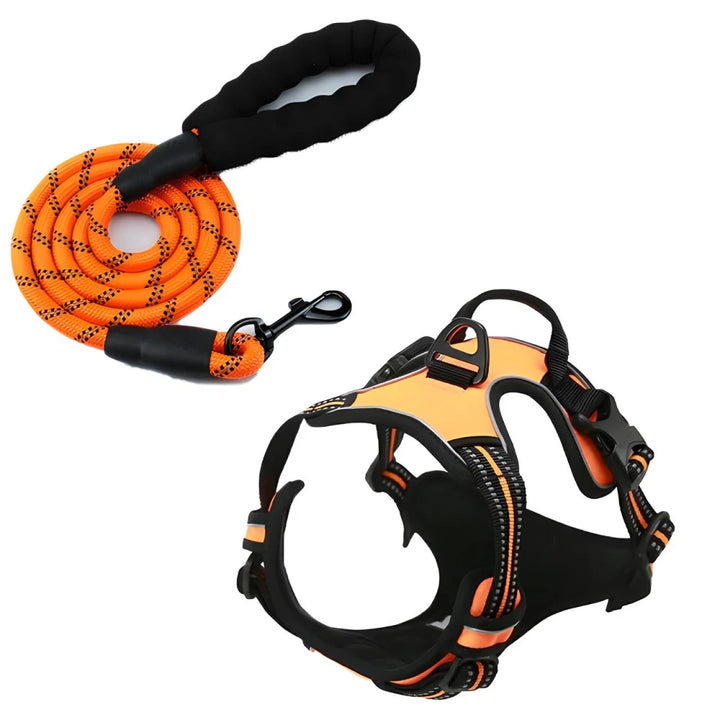 Reflective Adjustable Dog Harness and Leash Set