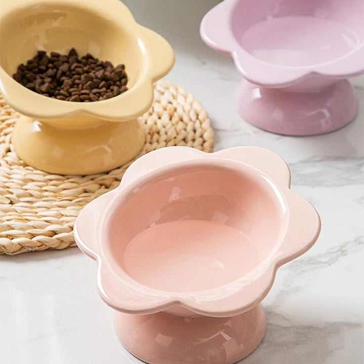 Raised Ceramic Cat Water Bowl