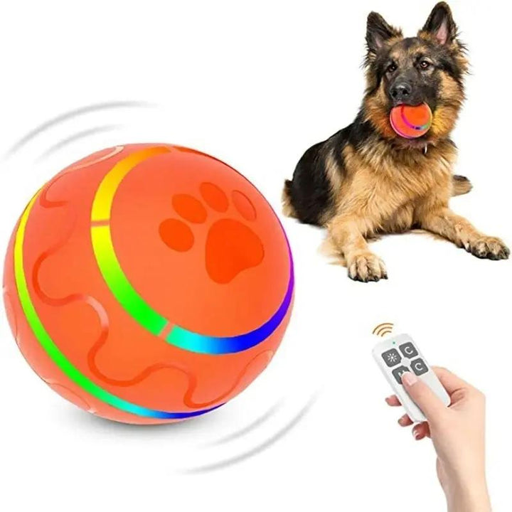 Interactive Remote Control Pet Ball