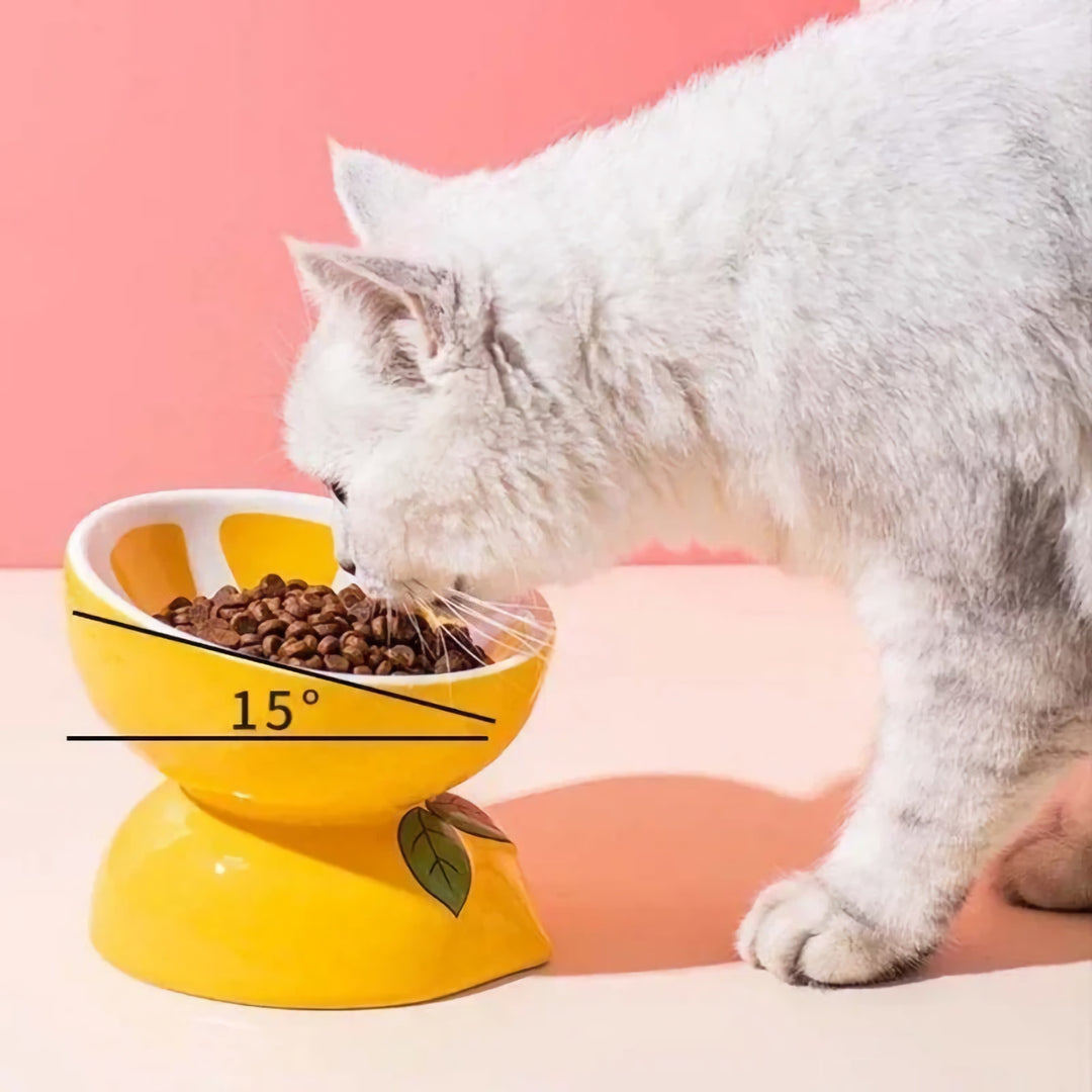 Fruit-Shaped Ceramic Pet Bowl