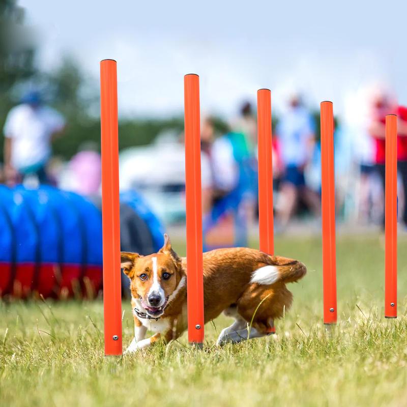 Portable Dog Agility Jumping Tool