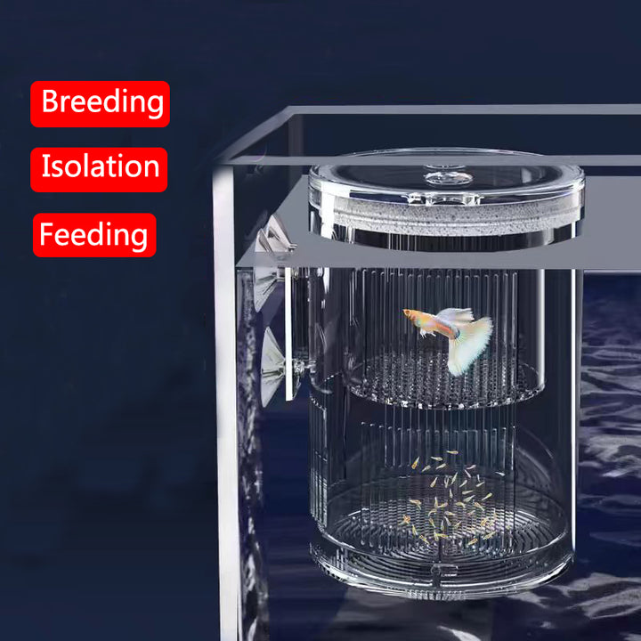 Acrylic Floating Fish Breeding Isolation Box