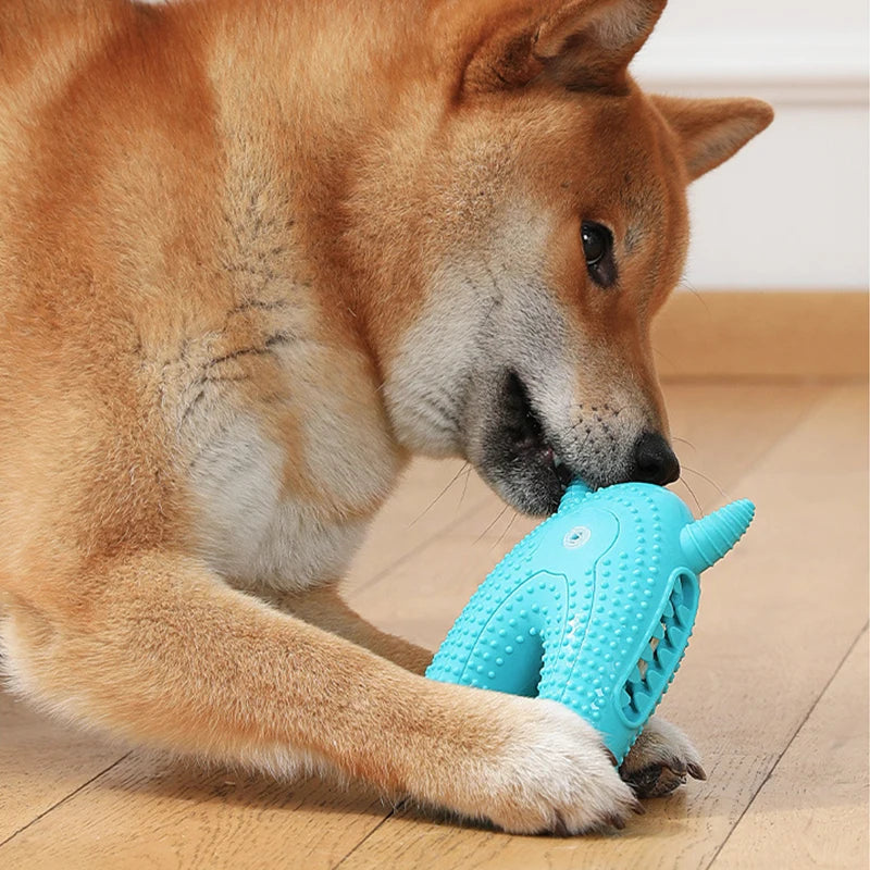 Interactive Silicone Dog Molar Toy