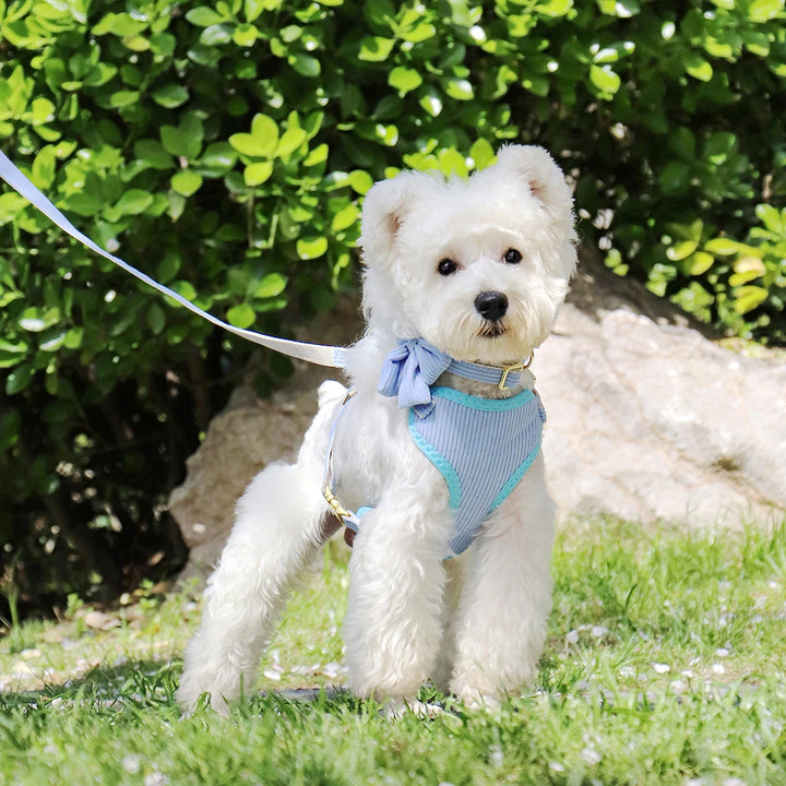 Adjustable Mesh Dog Collar Harness and Leash Set with Cute Bowknot