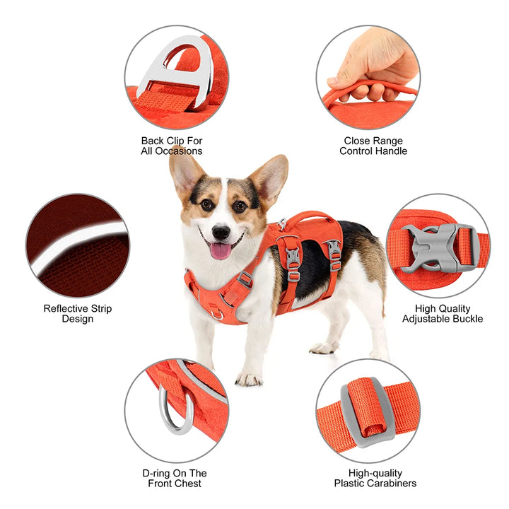 Reflective Nylon Dog Harness with Handle