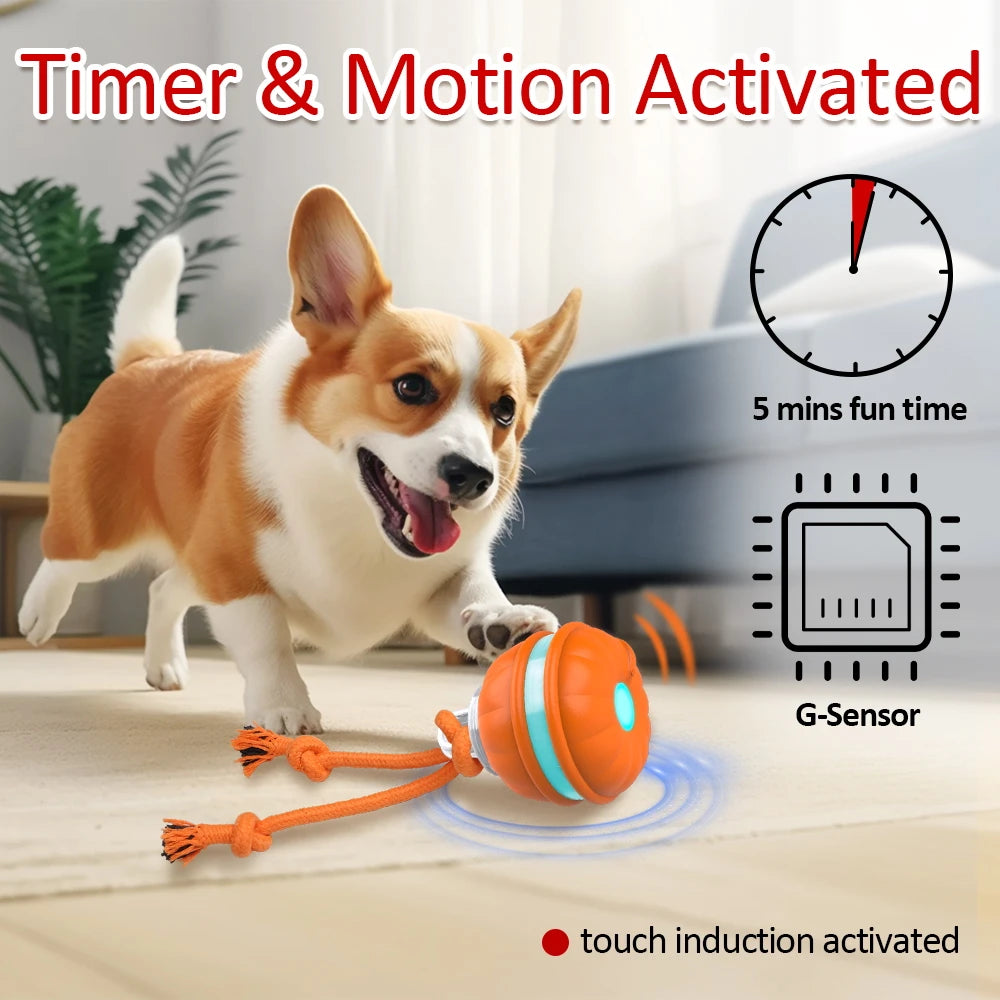 Interactive Motion-Activated Dog Toy Ball with Chew Rope and Teeth Cleaning