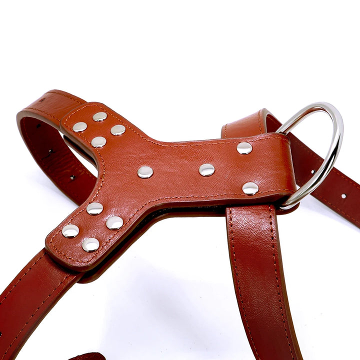 Genuine Leather Dog Harness with Bowknot