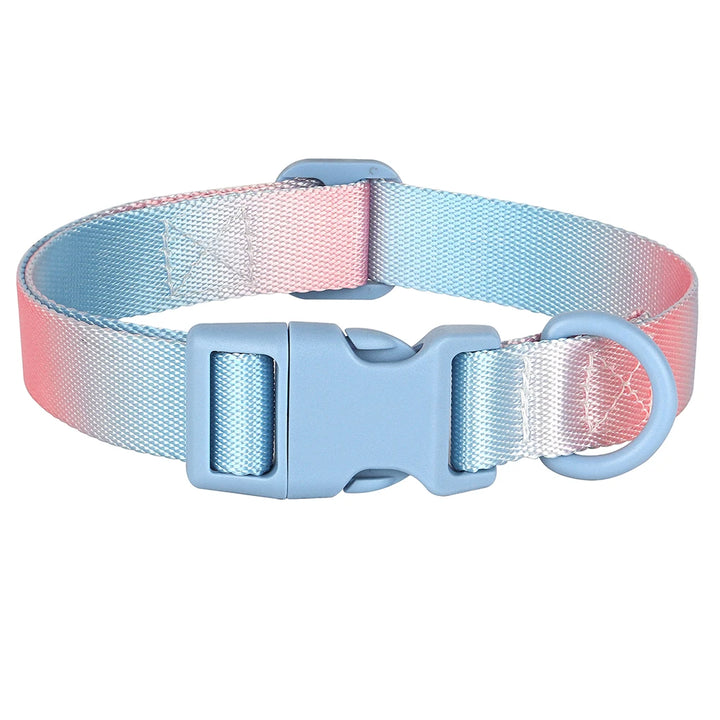 Colorful Printed Nylon Dog Collar