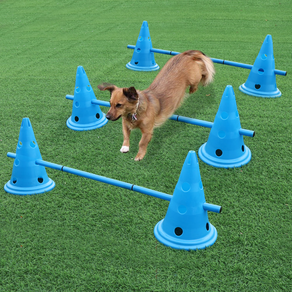 3-Piece Dog Hurdle Training Set