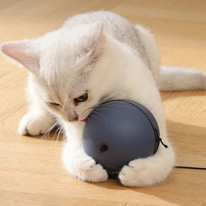 Automatic Rolling Smart Cat Toy Ball