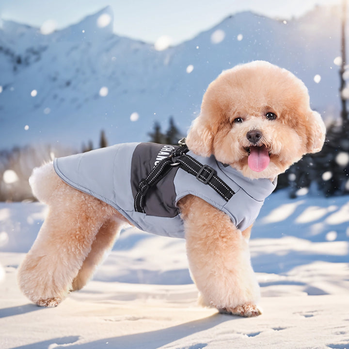 Waterproof Winter Dog Jacket with Reflective Harness