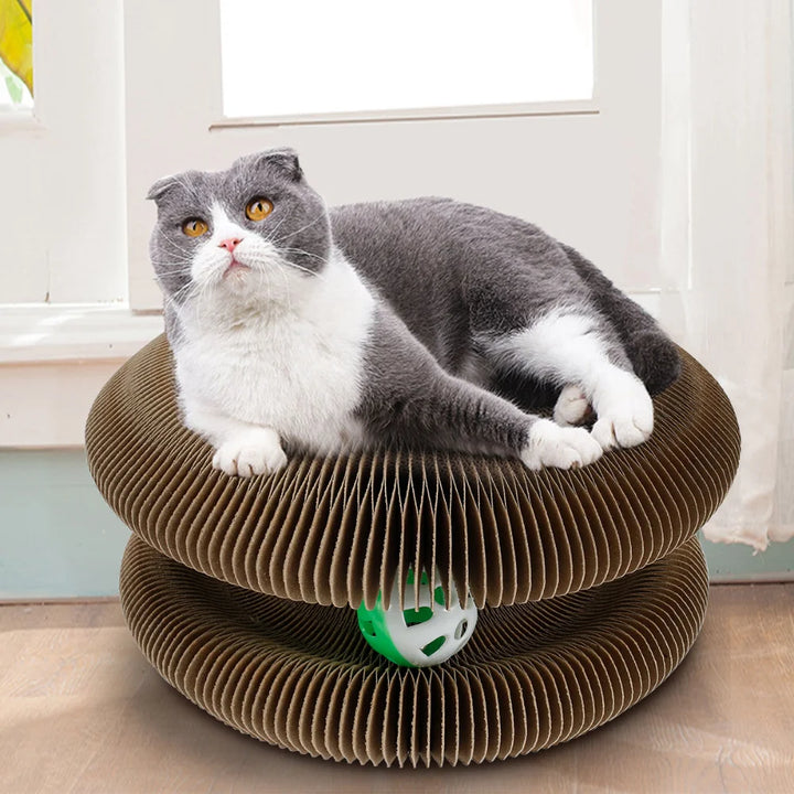 Foldable Magic Organ Cat Scratcher with Toy Ball - Multi-Shape Durable Climbing and Sleeping Board for Cats